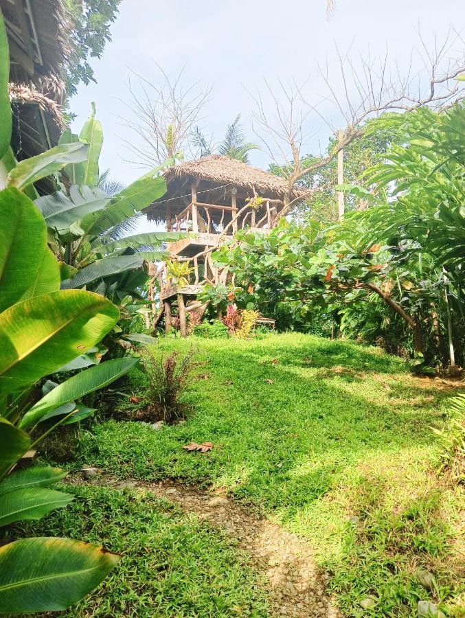 The Living Room Siargao جنرال لونا المظهر الخارجي الصورة